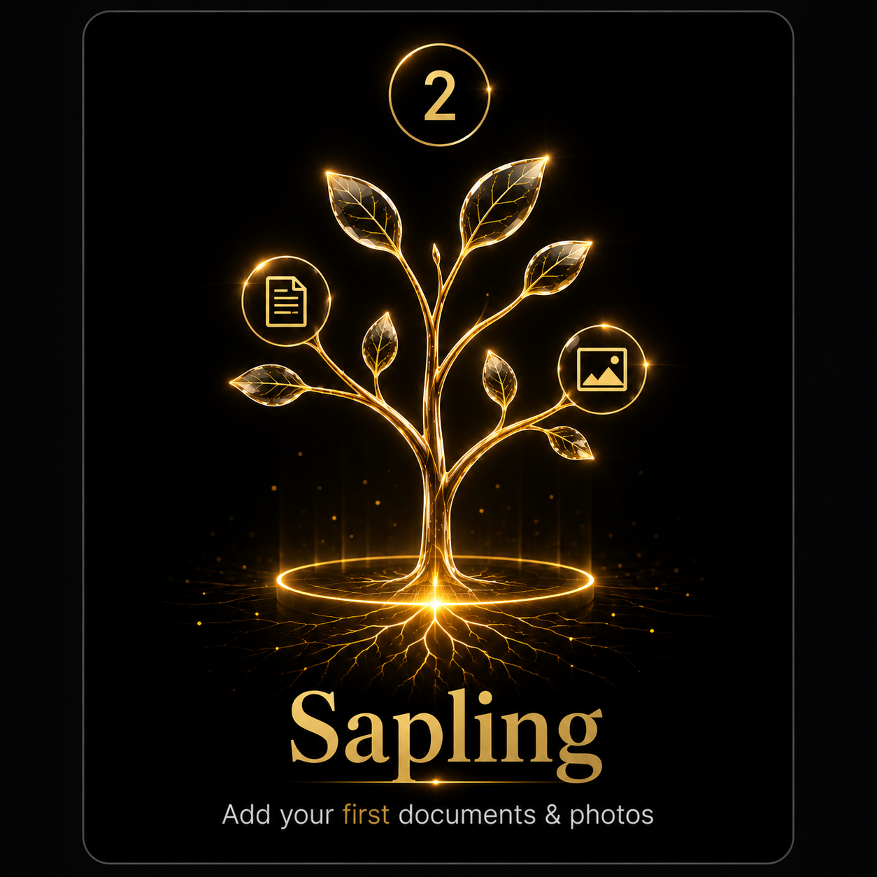 HomeBranches tree at Sapling stage