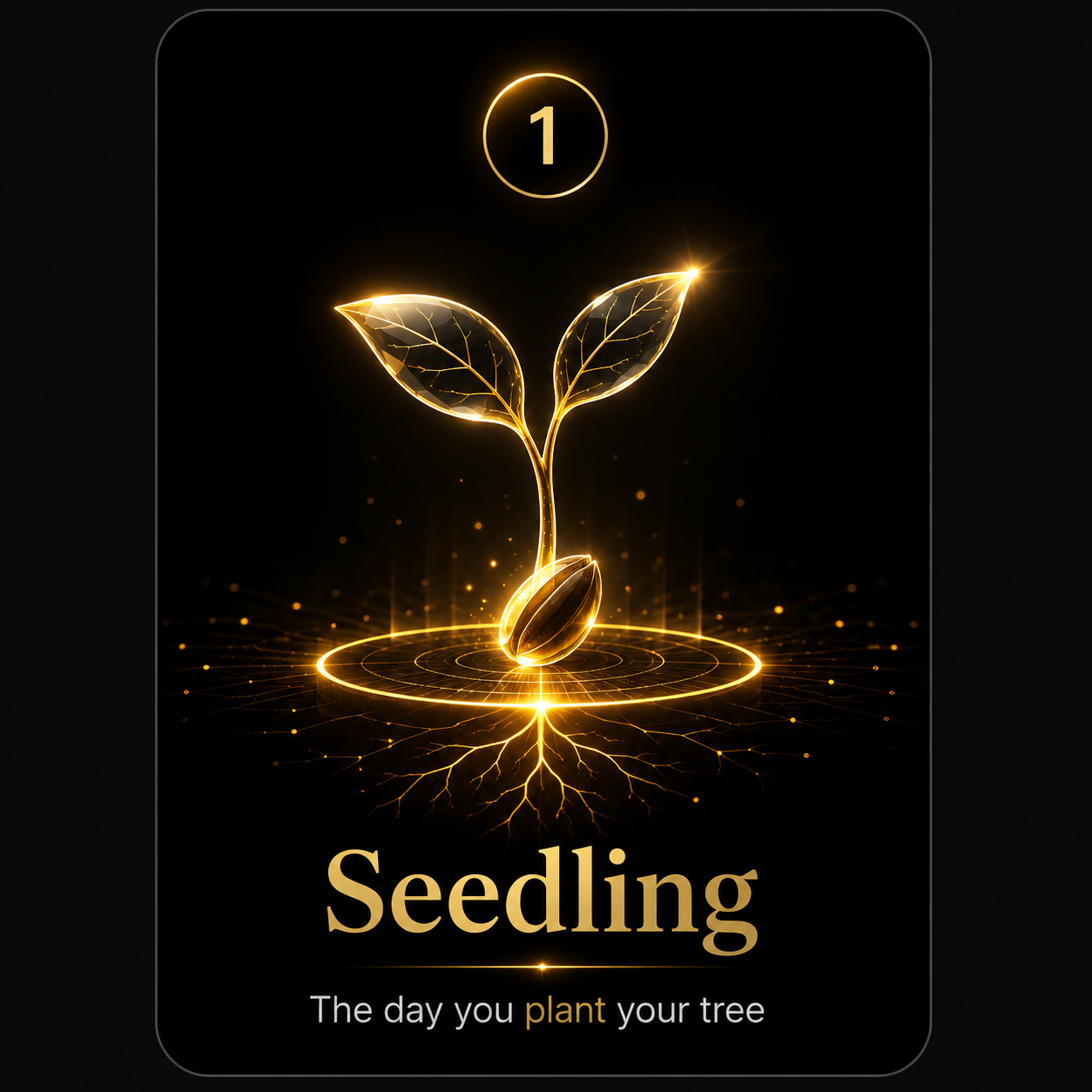 HomeBranches tree at Seedling stage